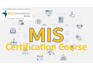 MIS Certification in Laxmi Nagar, Delhi by SLA Institute, Excel, VBA with SQL, Power BI/ Tableau Classes,
