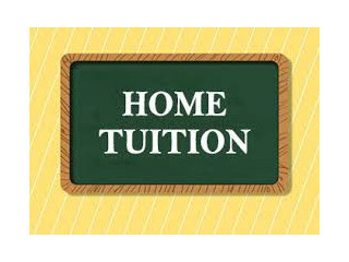 Best home learning tution in Noida