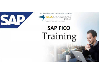 SAP FICO Certification in Delhi with 100% Job at SLA Institute, Accounting, Tally & Finance Certification, Summer Offer '23