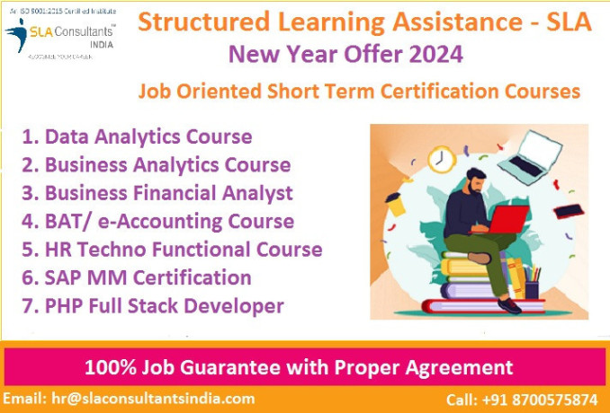 data-analytics-course-in-delhi-with-free-python-r-program-by-sla-institute-in-delhi-ncr-credit-rating-analyst-certification-big-0