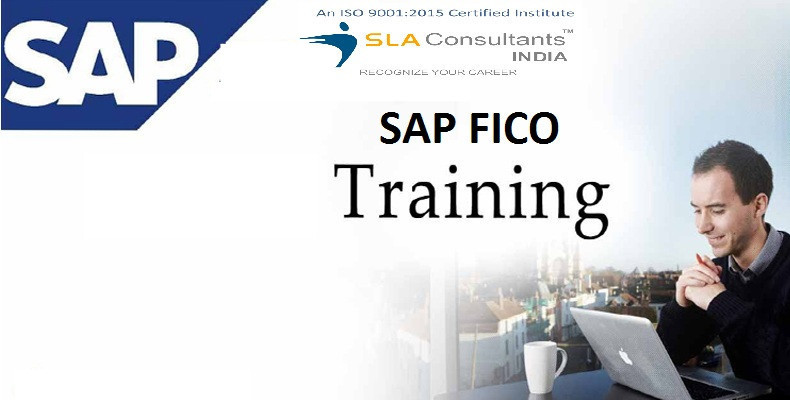 join-sap-fico-certification-at-sla-institute-accounting-tally-finance-certification-with-100-job-placement-big-0