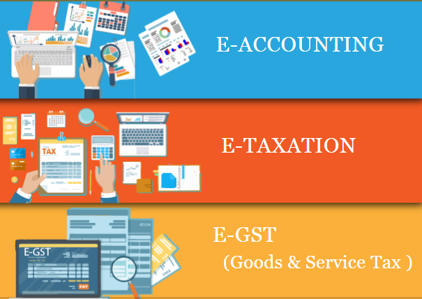 e-accounting-course-in-delhi-sap-fico-course-in-noida-bat-course-by-sla-accounting-institute-taxation-and-tally-prime-institute-in-delhi-noida-big-0