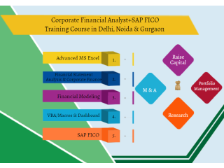 Financial Modelling Training Course in Delhi.110083 . Best Online Live Financial Analyst Training in Dehradun by IIT Faculty , [ 100% Job in MNC]