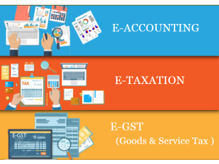Accounting Course in Delhi, 110014. SLA. GST and Accounting Institute, Taxation and Tally Prime Institute in Delhi, Noida