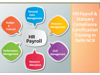 HR Training Course in Delhi,110022 , With Free SAP HCM HR by SLA Consultants Institute in Delhi, [100% Placement, Learn New Skill of '24]