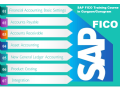 best-sap-fico-certification-in-laxmi-nagar-delhi-with-free-accounting-tally-finance-certification-100-job-small-0
