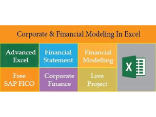 Job Oriented Financial Modelling Certification Course in Delhi, 110021. Best Online Live Financial Analyst