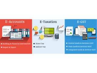 Remote Work & Global Opportunities: Why Accounting is a Smart Choice in 2025, Accounting Course in Delhi, 110003 New Income