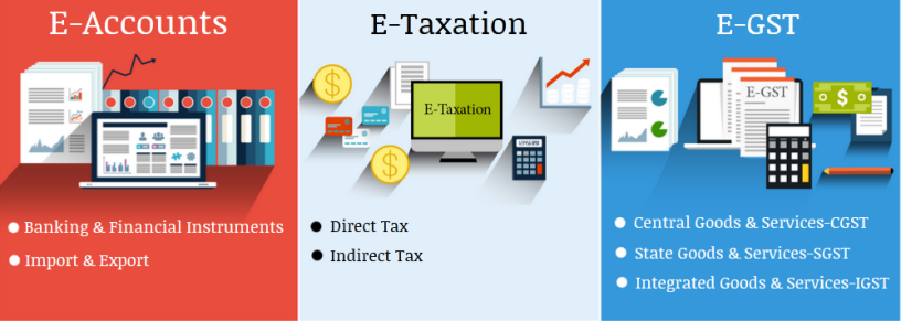 remote-work-global-opportunities-why-accounting-is-a-smart-choice-in-2025-accounting-course-in-delhi-110003-new-income-big-0